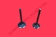 Generac GP3600 7677 7678 212CC 3600 4500 Watt Generator Intake Exhaust Valve Set Generac GP3600 7677 7678 212CC 3600 4500 Watt Generator Intake Exhaust Valve Set