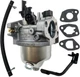 P03603 P03608 P03610 P03612 P03617 Huayi Carburetor for Firman Generators
