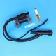Ignition Coil Module For Honda EG2500 EG2200 EG1400 EB2200 EG1400 X Generator