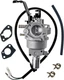 Dual Fuel Carburetor 47.131000.25 for Champion 439cc Generators 100165 71530