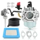 Carburetor Carb Fit for Troy Bilt 6250 8500 Watts Generator 030594A 030594
