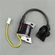 1PCS NEW KIPOR Ignition Coil KG105-14100 For Kipor IG2000