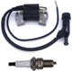 FIT DuroStar DS4400S DS4000WGE DS10000E Gas Ignition Coil & Spark Plug