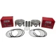 2 NEW 62-874-19-S .020" OVERSIZE PISTON KIT FITS KOHLER CH1000 CH980 CH960 CH940