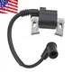 Ignition Coil 30500Z6L043 Fit Honda GX630 GX660 GX690 GXV630 GXV660 USPS Ship