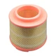 CA0253 Castrol Filters Air Filter for FORD MAZDA TOYOTA 1449296 New