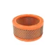 Generac Genuine OEM Replacement Air Filter - 0C8127