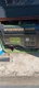 Sportsman GEN4000DF Dual Fuel Portable Generator 4000W/3500W 120V