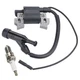 Ignition Coil & Spark for Gas Generator 67560 Harbor Freight Predator 4375-4000