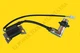 Firman W01785 80CC 1700 2100 Watt Inverter Generator Ignition Coil Module