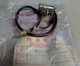 1979-1982 Honda EM300 EM400 EM500 Generator Stator Alternator 30203-870-003