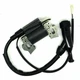Ignition Coil Fit Harbor Freight Predator 63079 96838 96898 4000 Gas Generator