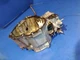12100-892-621 ,  CYLINDER block motor housing  honda generator em500