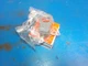 Yamaha 87/98 fzr/yzf brush holder assembly  OEM   NOS 3FV-81619-00-00