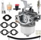 716116 Carburetor set for Briggs & Stratton 246000 246432 246435 246437