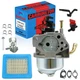 Carburetor With Kit For Troy-Bilt 6250 8500 Watt Generator Model 30594 030594