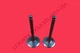 Generac XT8000E 64330 64340 420CC 8KW 10KW Generator Intake Exhaust Valve Set