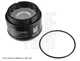 ADA102306 BLUE PRINT Fuel Filter for Chrysler 0004798166 New