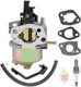 Champion CPE Carburetor 100216 for 224CC 7HP 3650 4500 3400 4000 Watt Generator