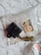 yamaha ef600 cdi box nos genuine