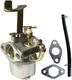 Carburetor for Chicago Electric Storm CAT 700 800 900 Watts 60338 66619 69381