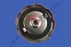Kobalt KPG0100 KPG0500 5500 6830 Watt Gas LPG Generator Gas Tank Fuel Cap