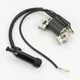 Durostar Ignition Coil for DS4000S DS4400 DS4400E DS4400S DS4000WGE DS10000E Gas