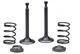 Intake Exhaust Valve Spring For Firman W03382 W3650IE Inverter Generator