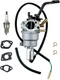 27.131000.13 Dual Fuel Generator Carburetor for Champion 100307 3500W 100401 400