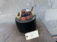 TROY BILT GENERATOR STATOR 312443gs
