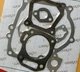 Engine Cylinder Gasket Kit For Champion 100424 27Ton 224cc Log Splitter