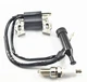 NEW Champion CPE 100157 100122 100126 100216 C75520E Ignition Coil & Spark Plug