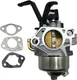 Huayi Carburetor Compatible with Briggs & Stratton Storm Responder 6250/8500 Gen