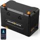Goldenmate 12V 100Ah LiFePO4 Battery &ndash; IP67 Waterproof Smart Power