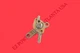 Kipor KGE2000Ti IG2000P 1600 2000 Watt Inverter Generator Fuel Valve Switch