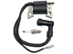 Ignition Coil For Honda G100 EG650 EM500 EM600 G100K2 EM500K1 30500-ZG0-W0 Mower