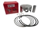 1 NEW 62-874-19-S .020" OVERSIZE PISTON KIT FITS KOHLER CH1000 CH980 CH960 CH940