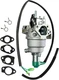 Huayi OEM 41532 100161 Carburetor for Champion Generator, Carb Part # 47.1310...