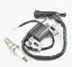 Ignition Coil & Spark Plug for Honda EM1600X EM1800X EM1800XK1 Generator