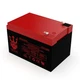 Neptune 12V 15AH Sealed Lead Acid Battery for Goal Zero Yeti 150 Solar Generator