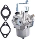 279-62364-20 EX30 Carburetor for Husky 5000 Watts Generator HU5000 BP Homelite