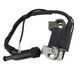 Ignition Coil Module For DuroMax XP6500E XP8500E XP8500E-CA XP10000E XP10000E-CA