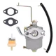 Carburetor for Harbor Freight Branded Chicago Electric Storm CAT 60338 66619 ...