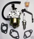 HF Chicago Predator Generator 3000 3050 3200 4000 Watts Carburetor & Spark Plug.