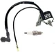 Ignition Coil For Champion Power CPE 80CC 1500/1200 1800/1400 Watt Gas Generator