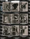 1938 J. Sinclair Champion Dogs (set A) Large complete set 52/52 (200986)