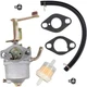 Carburetor for Champion 42432 42436 100403 100458 1400 1800 Watts 80Cc 7-Ton Log