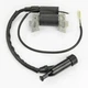 Fits Champion CPE 100104/5 76555 100100 76533 76525 70003 New Gas Ignition Coil