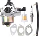 16100-ZE6-W01 Carburetor for Honda HR214 HRC216 HRM215 HRC216 HRA214 HR194 HRB21