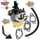 Carburetor For Champion 46514 46515 46516 46517 45633 40008 40026 CPE Fuel Line
